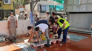 Kestanepazarı Kurban Bayramında Hijyen Önlemlerini En Üst Düzeyde Uyguladı