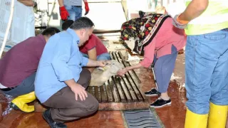 Kestanepazarı’nda Kurban Sevinci Bayram Namazıyla Başladı