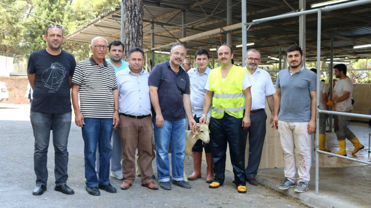 Kestanepazarı’nda Kurban Sevinci Başladı