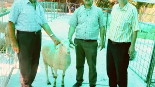Kestanepazarı Kurban Bayramına Hazır