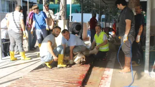 KESTANEPAZARI’NDA KURBAN SEVİNCİ